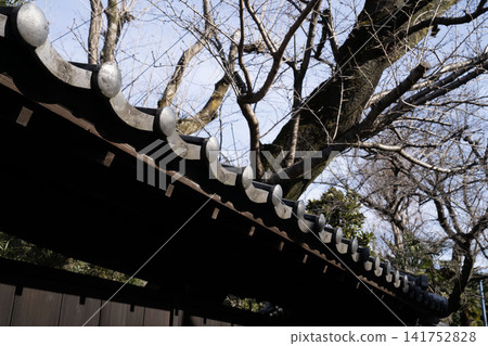 A landscape of traditional Japanese architecture with tiled roofs and wooden fences, and winter trees reaching towards the blue sky. A landscape of traditional Japanese architecture with tiled roofs and wooden fences, and winter trees reaching towards the blue sky. 141752828