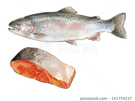 A mouthwatering illustration of salmon A mouthwatering illustration of salmon 141754237