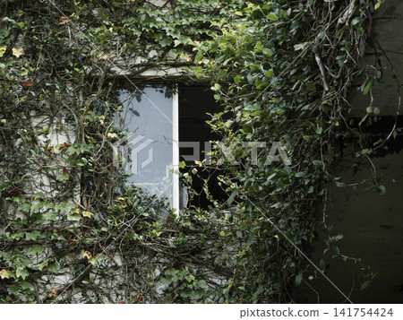 Ruined window Ruined window 141754424