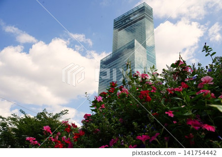 Harukas and the scenery of flowers Harukas and the scenery of flowers 141754442