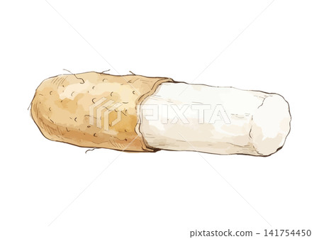 A mouthwatering illustration of a Japanese yam A mouthwatering illustration of a Japanese yam 141754450
