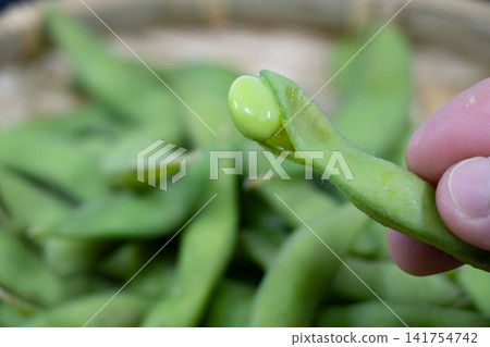Edamame Edamame 141754742