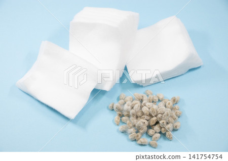 Cotton seeds Cotton seeds 141754754