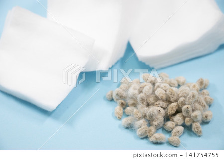 Cotton seeds Cotton seeds 141754755