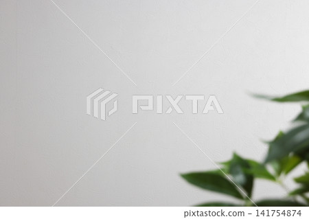 白色牆上的空白區域 白色牆上的空白區域 141754874