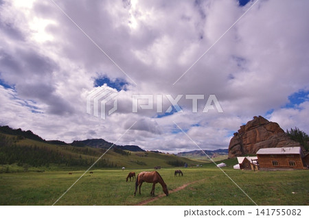Mongolia, Terelj National Park: Przewalski's horses can be seen near the yurts. Mongolia, Terelj National Park: Przewalski's horses can be seen near the yurts. 141755082