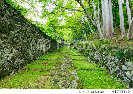 [滋賀縣東近江市] 百齋寺：苔蘚覆蓋的大門和新鮮的綠植，景色令人驚嘆。 141755350