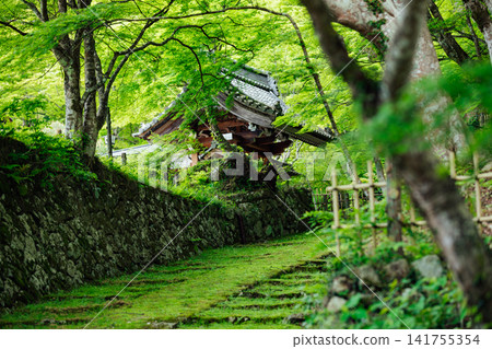 [滋賀縣東近江市] 百齋寺：苔蘚覆蓋的大門和新鮮的綠植，景色令人驚嘆。 141755354