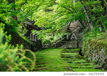 [滋賀縣東近江市] 百齋寺：苔蘚覆蓋的大門和新鮮的綠植，景色令人驚嘆。 141755355