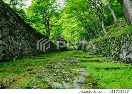 [滋賀縣東近江市] 百齋寺：苔蘚覆蓋的大門和新鮮的綠植，景色令人驚嘆。 141755357