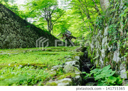 [滋賀縣東近江市] 百齋寺：苔蘚覆蓋的大門和新鮮的綠植，景色令人驚嘆。 141755365