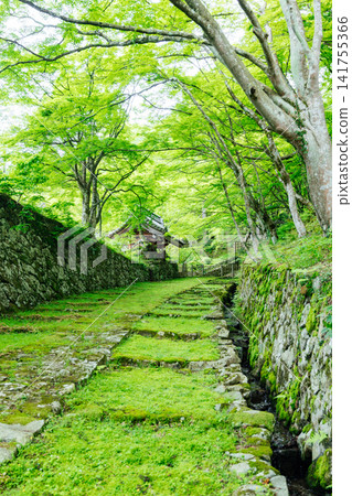 [滋賀縣東近江市] 百齋寺：苔蘚覆蓋的大門和新鮮的綠植，景色令人驚嘆。 141755366