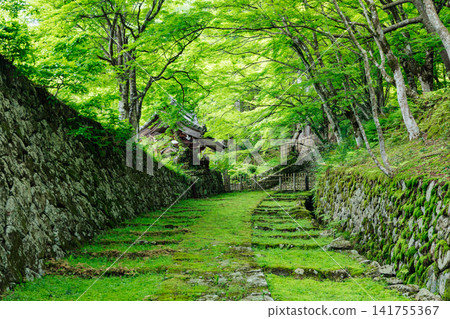 [滋賀縣東近江市] 百齋寺：苔蘚覆蓋的大門和新鮮的綠植，景色令人驚嘆。 141755367