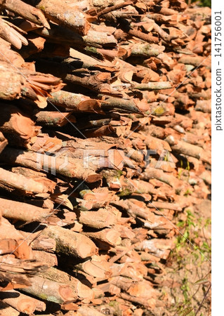 pile of wood log in the country home with sunlight, firewood for fuel pile of wood log in the country home with sunlight, firewood for fuel 141756001