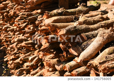 pile of wood log in the country home with sunlight, firewood for fuel pile of wood log in the country home with sunlight, firewood for fuel 141756005