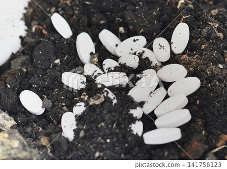 White tablet, soil, dirt, medicine scattered on dark ground in close detail White tablet, soil, dirt, medicine scattered on dark ground in close detail 141756123