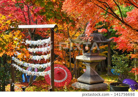 京都少林寺:美麗的秋葉(京都府京都市東山區) 京都少林寺:美麗的秋葉(京都府京都市東山區) 141756698
