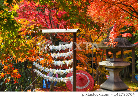 京都少林寺:美麗的秋葉(京都府京都市東山區) 京都少林寺:美麗的秋葉(京都府京都市東山區) 141756704