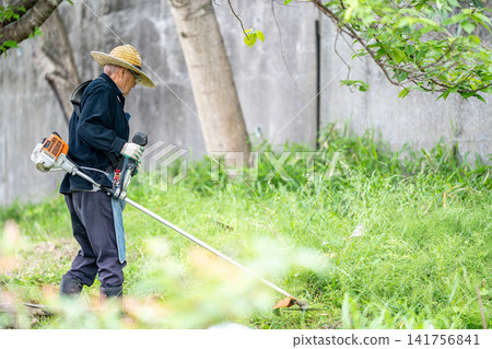 Elderly man mowing with a mower in early summer Elderly man mowing with a mower in early summer 141756841
