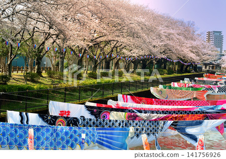 Cherry Blossom Festival (Tatebayashi City, Gunma Prefecture) 141756926
