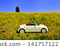 Image of driving through a field of rapeseed flowers 141757122