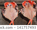 Sun-dried golden snapper 141757493