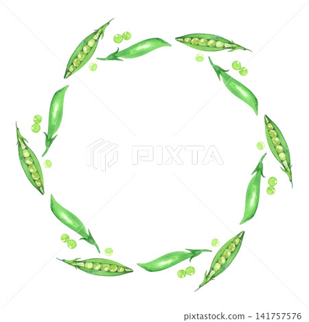 Wreath of the green pea. Watercolor illustration. Handmade art work. For packaging design, cards, cover, prints, product labels and fabric. Wreath of the green pea. Watercolor illustration. Handmade art work. For packaging design, cards, cover, prints, product labels and fabric. 141757576