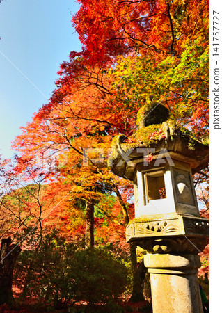 A beautiful late autumn landscape with colorful foliage. A beautiful late autumn landscape with colorful foliage. 141757727
