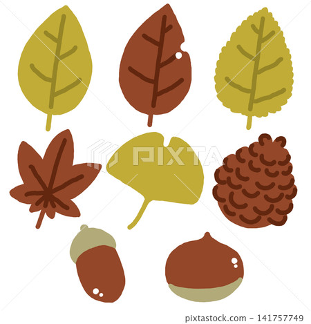 Autumn leaves and nuts set Autumn leaves and nuts set 141757749