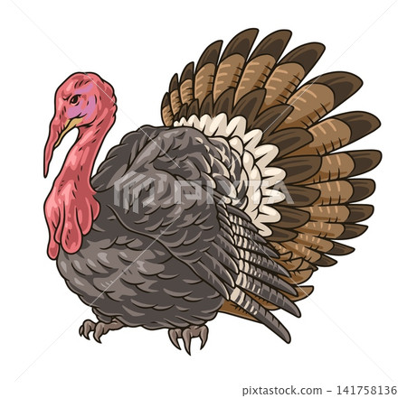 Adult turkey colorful set stickers Adult turkey colorful set stickers 141758136