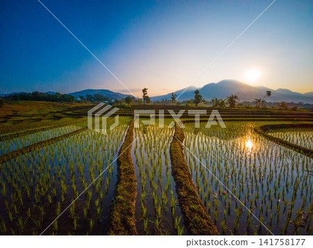 Aerial view of Sapa rice terraces at sunrise with golden light over green fields and misty mountain valleys Aerial view of Sapa rice terraces at sunrise with golden light over green fields and misty mountain valleys 141758177