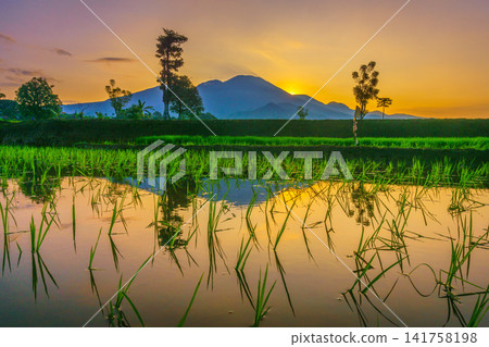 Aerial view of Sapa rice terraces at sunrise with golden light over green fields and misty mountain valleys Aerial view of Sapa rice terraces at sunrise with golden light over green fields and misty mountain valleys 141758198