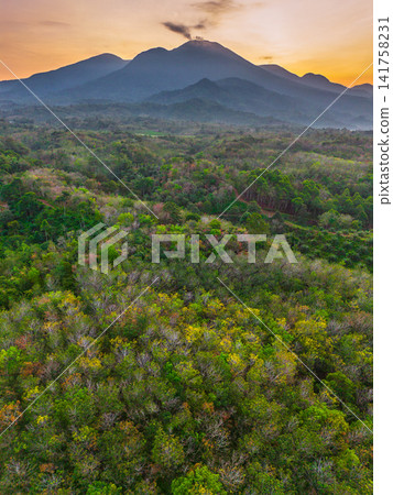 Aerial view of Sapa rice terraces at sunrise with golden light over green fields and misty mountain valleys 141758231