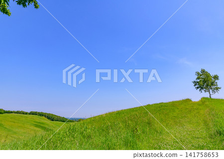 Walking along the Hoshikaze Hill in Kiyosato Town under a clear blue sky Walking along the Hoshikaze Hill in Kiyosato Town under a clear blue sky 141758653