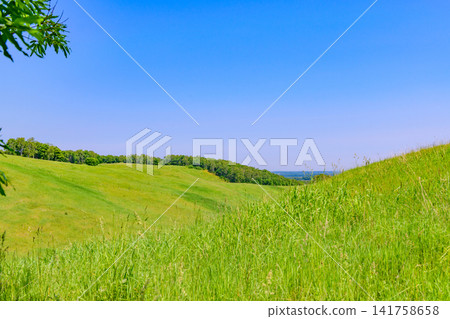 Walking along the Hoshikaze Hill in Kiyosato Town under a clear blue sky Walking along the Hoshikaze Hill in Kiyosato Town under a clear blue sky 141758658