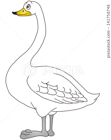 手繪動物插畫☆天鵝 手繪動物插畫☆天鵝 141758748