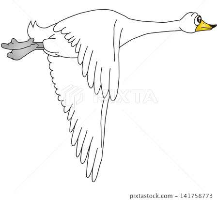 Hand-drawn animal illustration ☆ Swan Hand-drawn animal illustration ☆ Swan 141758773