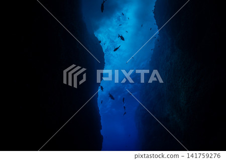 Rocky Sea, Ogasawara Islands, Tokyo Rocky Sea, Ogasawara Islands, Tokyo 141759276