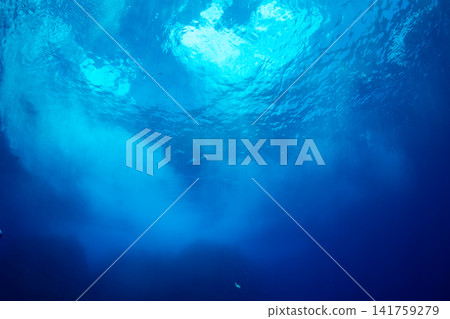 Rocky Sea, Ogasawara Islands, Tokyo Rocky Sea, Ogasawara Islands, Tokyo 141759279