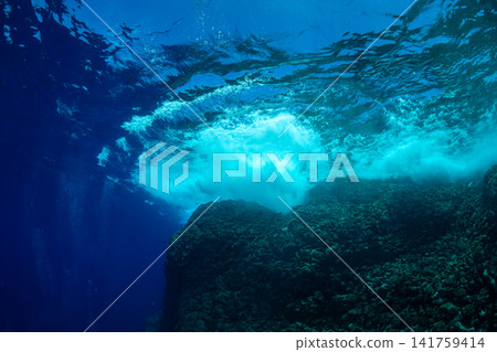 小笠原群島的岩石海 小笠原群島的岩石海 141759414