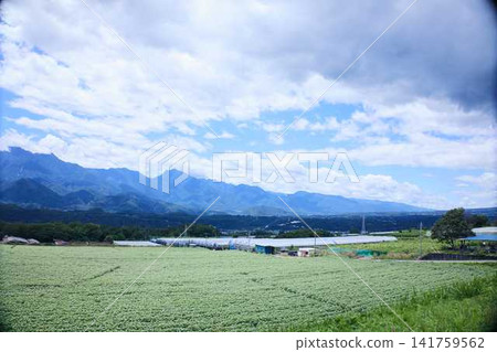 廣闊的高原景觀,雄偉的山脈,湛藍的天空。 廣闊的高原景觀,雄偉的山脈,湛藍的天空。 141759562