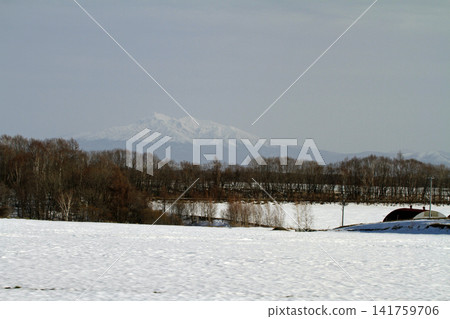 北海道沙裡市國道沿線白雪皚皚的鄉村景色。 北海道沙裡市國道沿線白雪皚皚的鄉村景色。 141759706
