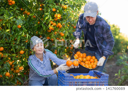 Portrait of two farmers working in a fruit nursery Portrait of two farmers working in a fruit nursery 141760089