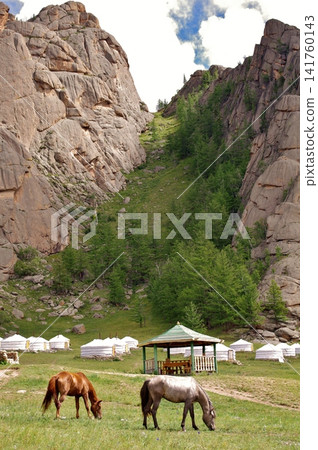 Mongolia: Przewalski's horses and yurts at Bubeit Camp Mongolia: Przewalski's horses and yurts at Bubeit Camp 141760143