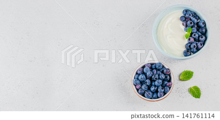 Blueberry Yogurt Breakfast with Copy Space Blueberry Yogurt Breakfast with Copy Space 141761114