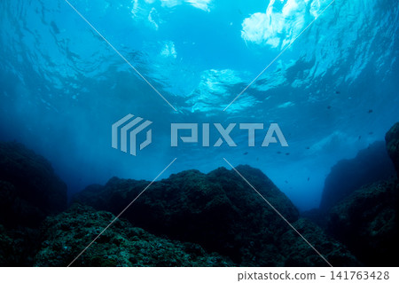 Rocky Sea, Ogasawara Islands, Tokyo Rocky Sea, Ogasawara Islands, Tokyo 141763428