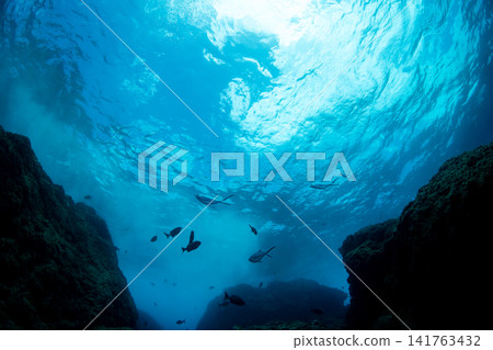Rocky Sea, Ogasawara Islands, Tokyo Rocky Sea, Ogasawara Islands, Tokyo 141763432