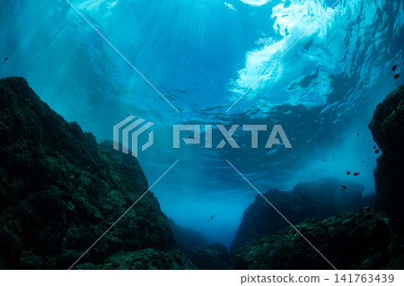 Rocky Sea, Ogasawara Islands, Tokyo Rocky Sea, Ogasawara Islands, Tokyo 141763439