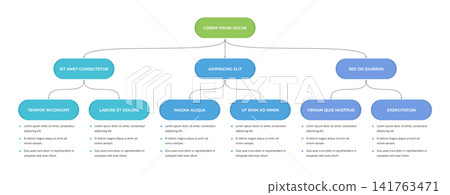 Organizational Chart Hierarchy Infographic Template Organizational Chart Hierarchy Infographic Template 141763471