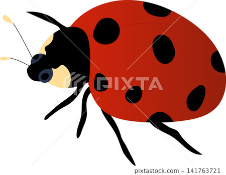 red ladybug illustration 141763721